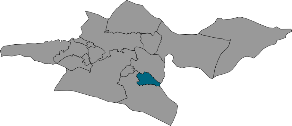 طراحی سایت پیشوا