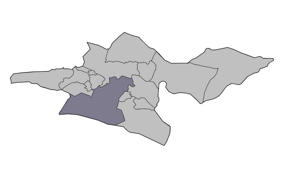 طراحی سایت ری